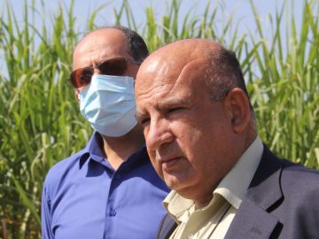 ویژگی شرکت توسعه نیشکر و صنایع جانبی
